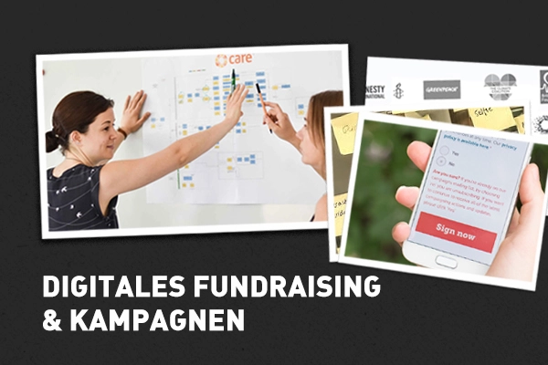 Sinnbild more onion - Digitales Fundraising und Kampagnen