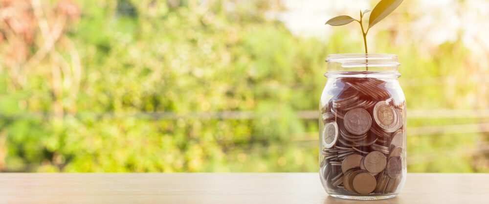 Ein Glas voller Münzen mit einer wachsenden Pflanze darauf steht auf einem Holztisch vor einer unscharfen, grünen Naturkulisse. Das Bild symbolisiert finanzielles Wachstum und nachhaltiges Spenden sammeln.