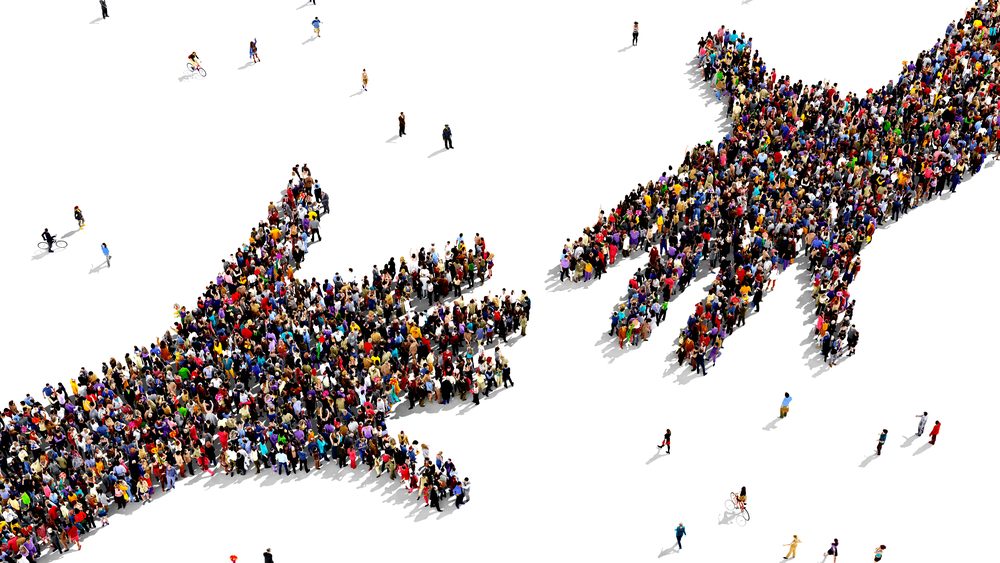 Viele Menschen, die zusammen zwei Hände bilden, die sich greifen