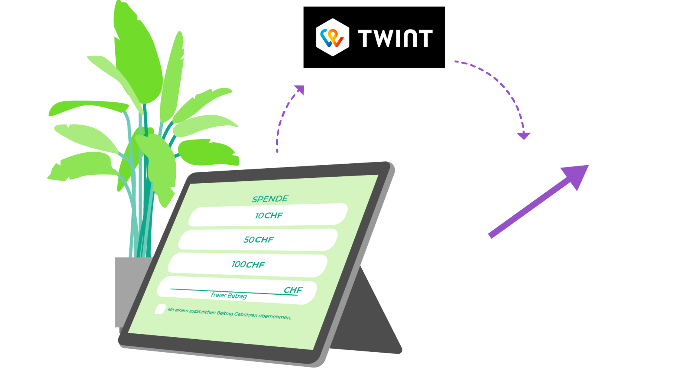 Twint- für Spenden auf der FundraisingBox zeigt nahtlose Zahlungsintegration für Online-Spendenkampagnen.