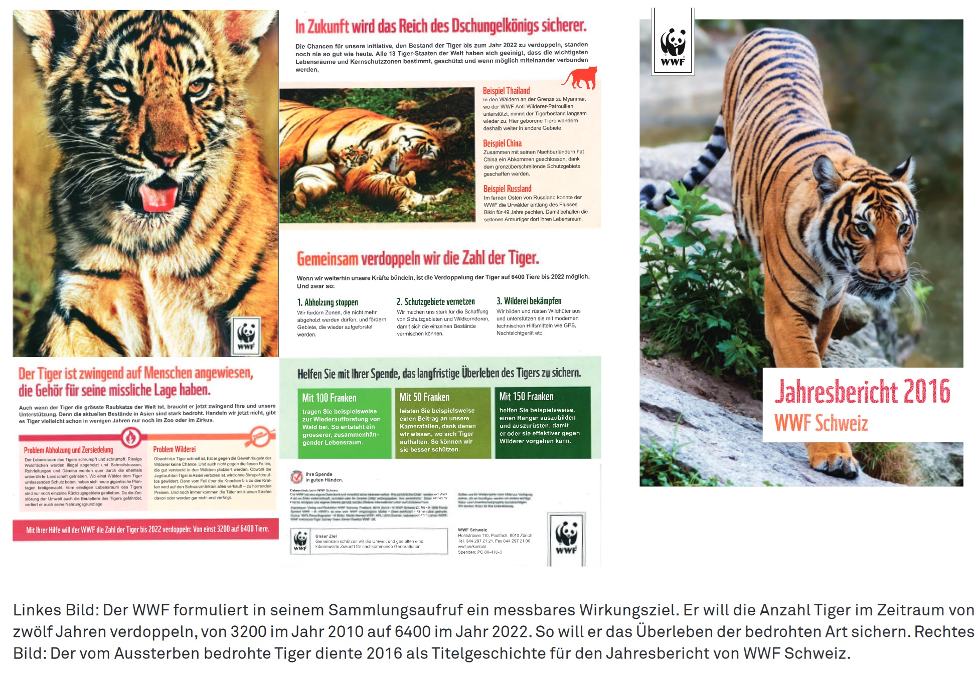 Jahresbericht WWF Beispiel Wirkungskommunikation