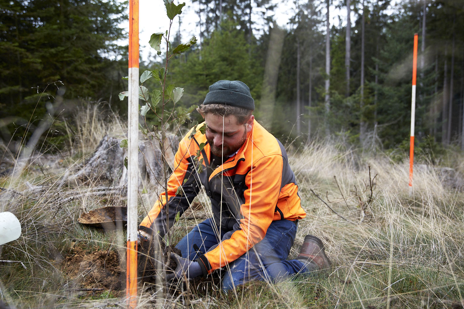 Jan Borchert, Klimaförster, copyright_DennisOellig (1)